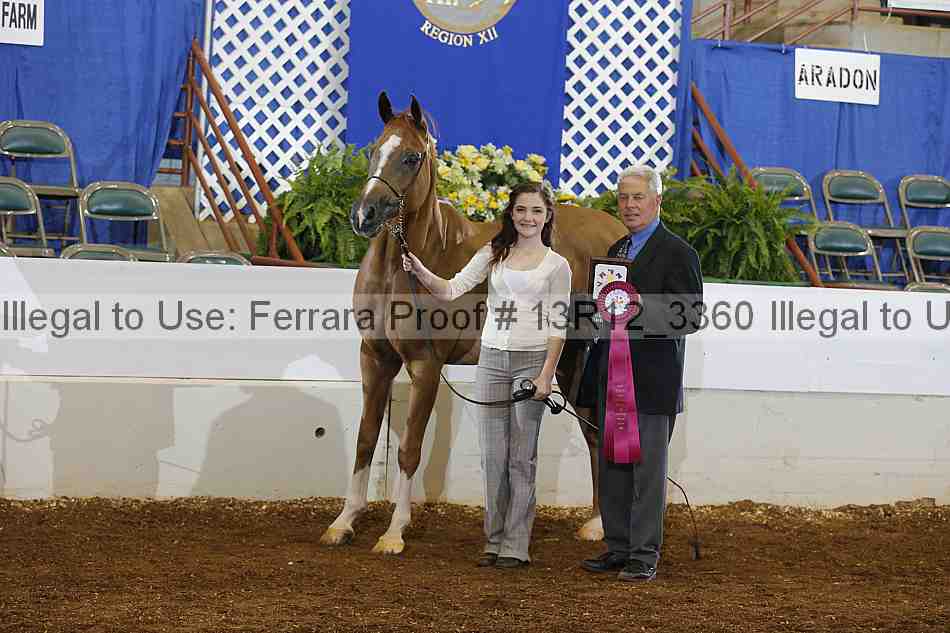 Proof 13r12_3360