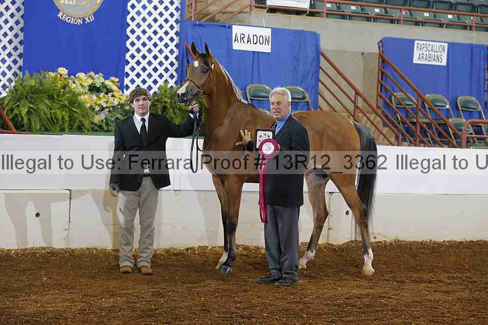 Proof 13r12_3362