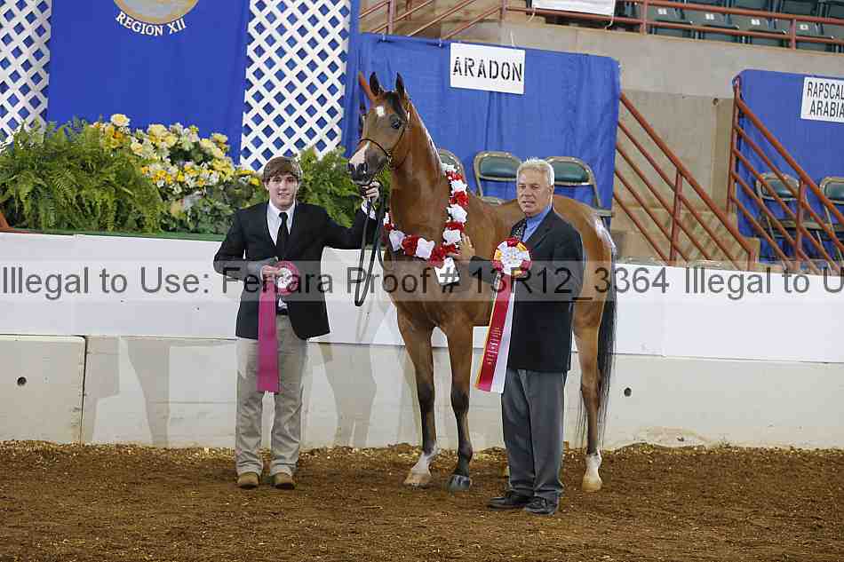 Proof 13r12_3364
