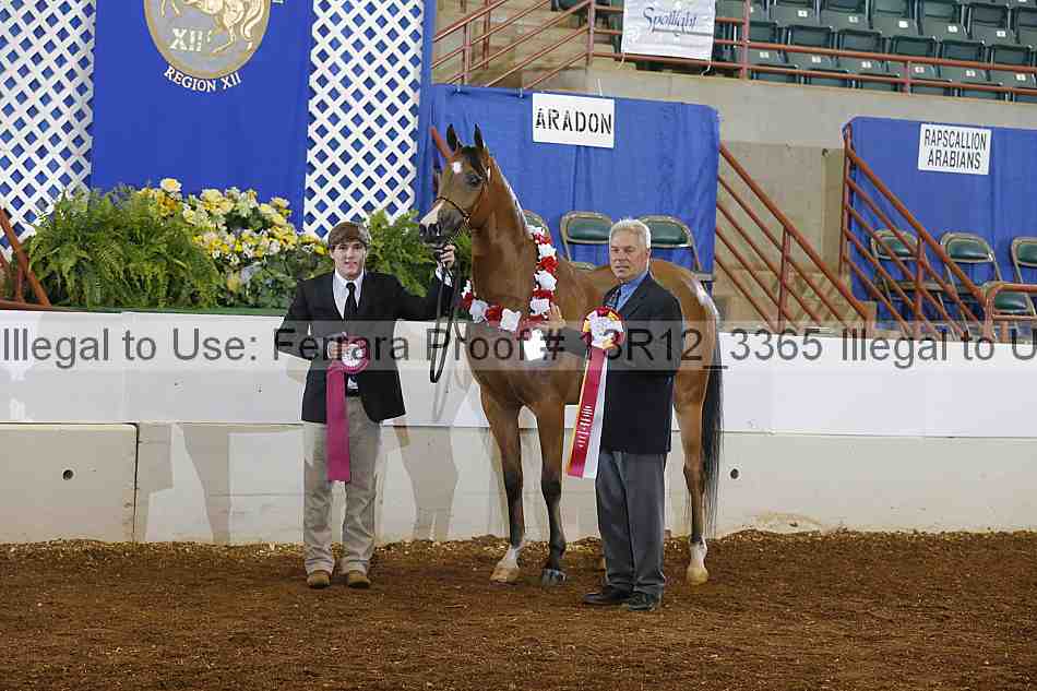 Proof 13r12_3365