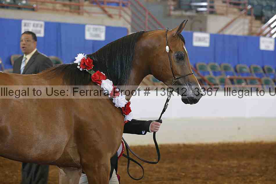 Proof 13r12_3367
