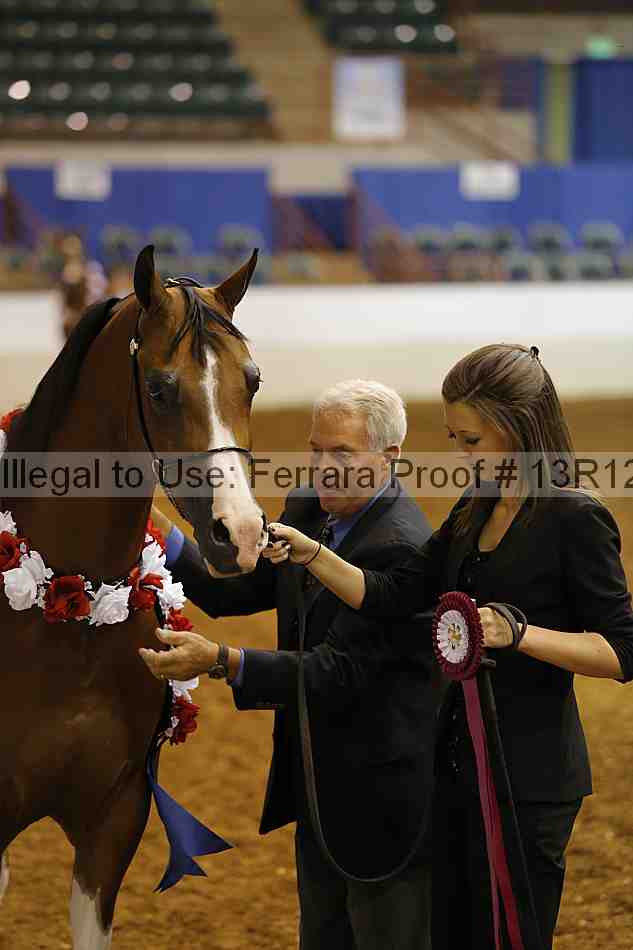 Proof 13r12_3368
