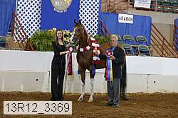 13r12_3369 proof