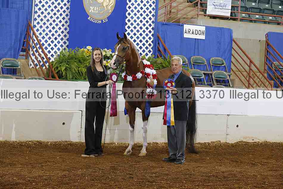 Proof 13r12_3370