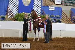 13r12_3370 proof