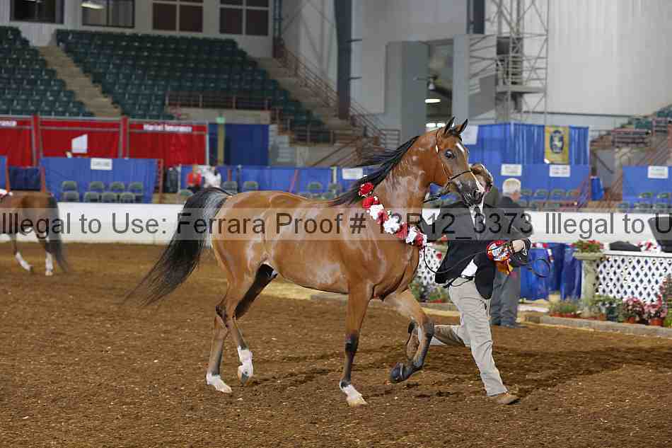 Proof 13r12_3373