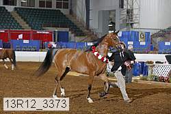 13r12_3373 proof