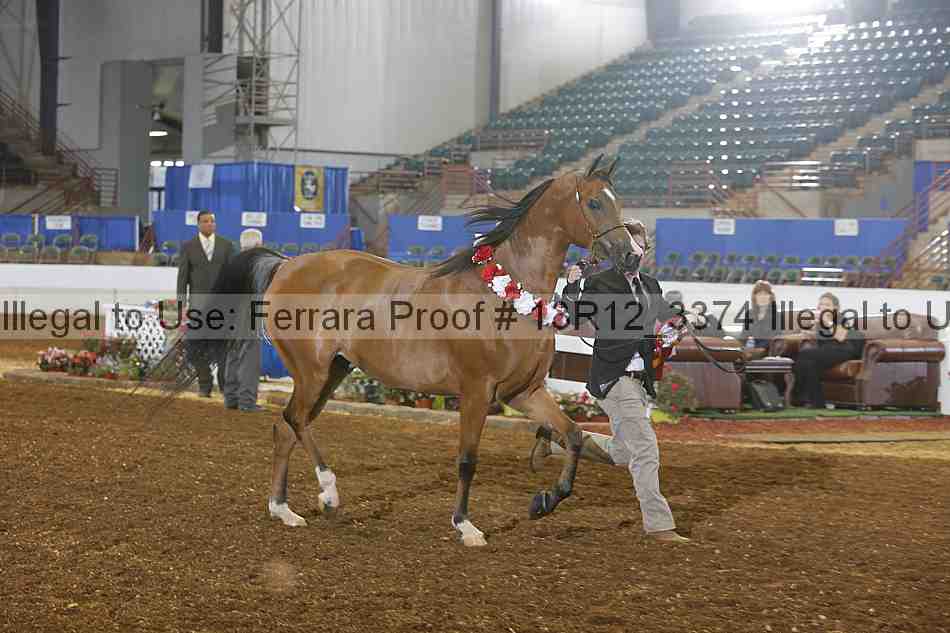 Proof 13r12_3374