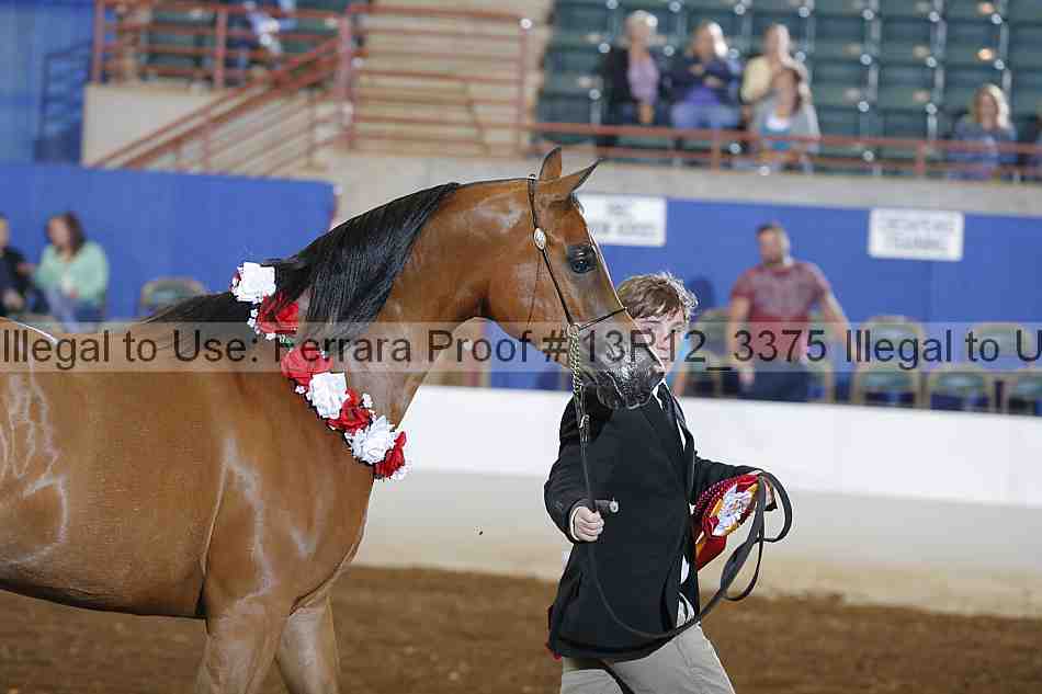 Proof 13r12_3375