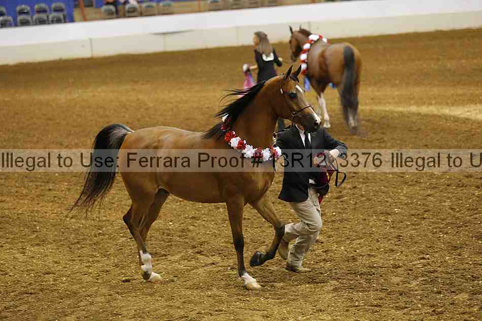 Proof 13r12_3376