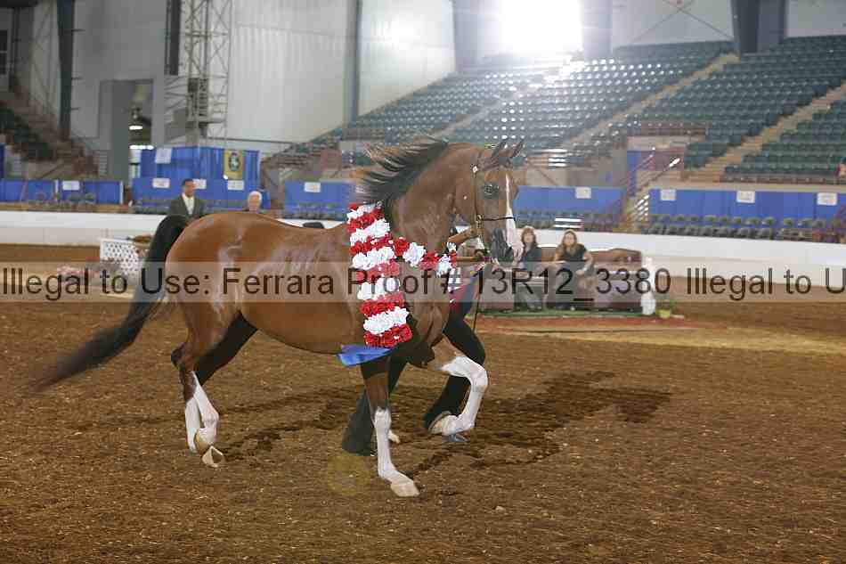 Proof 13r12_3380