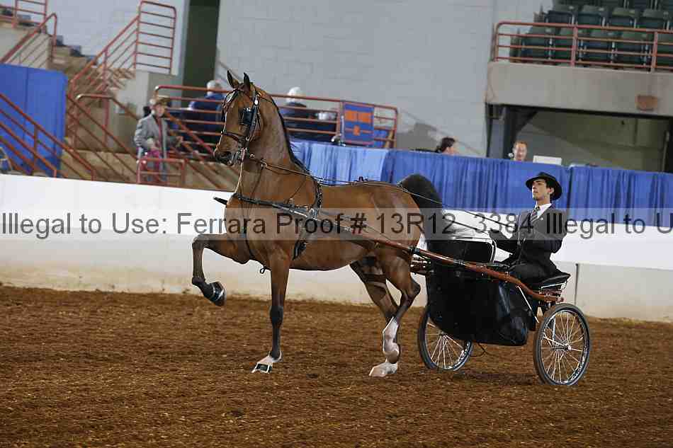 Proof 13r12_3384