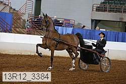 13r12_3384 proof