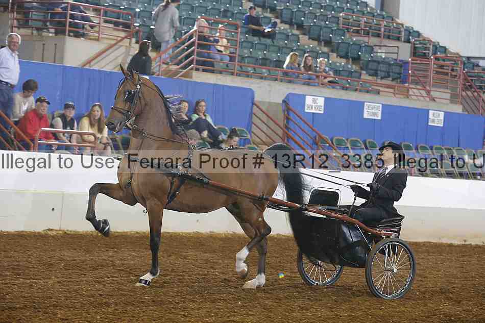 Proof 13r12_3385