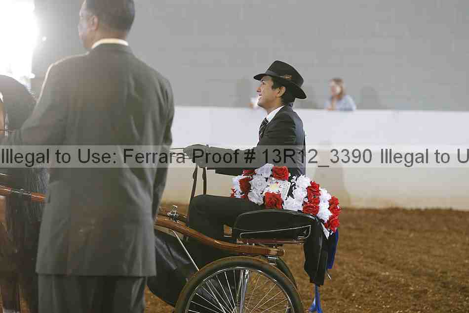 Proof 13r12_3390