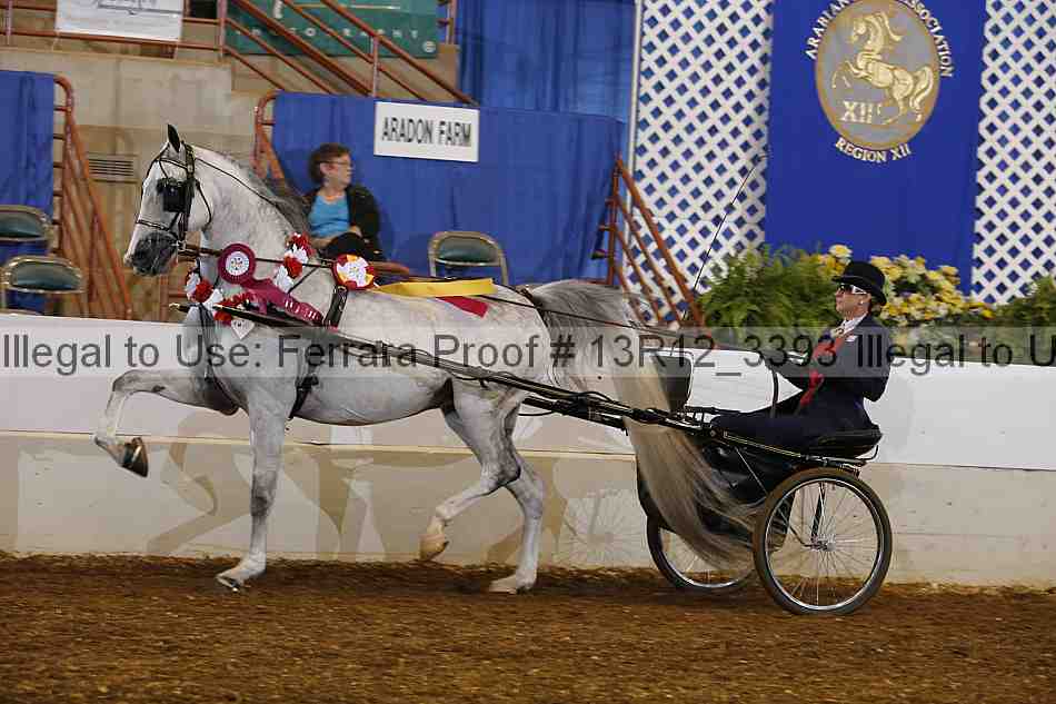 Proof 13r12_3393