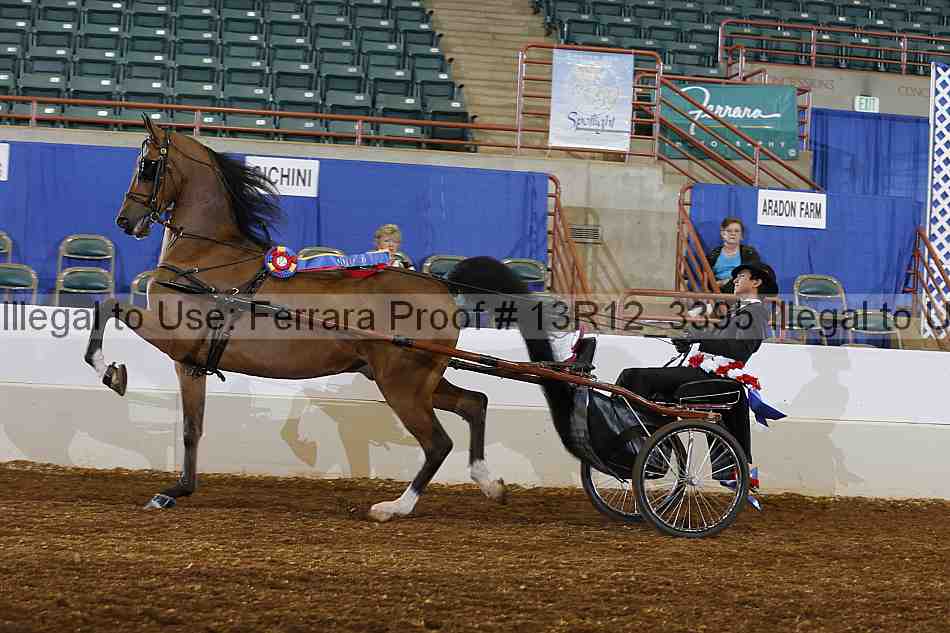 Proof 13r12_3395