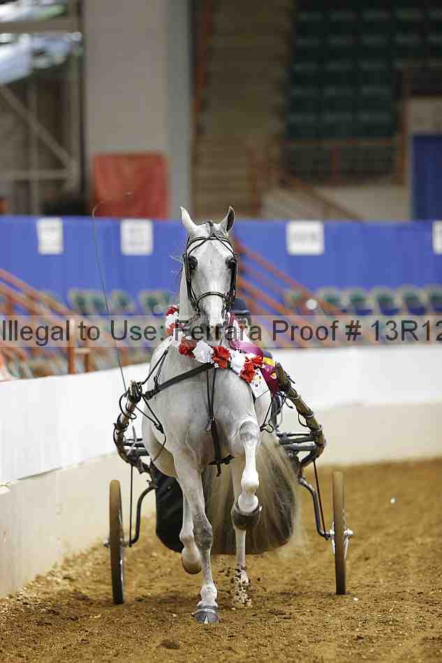 Proof 13r12_3396