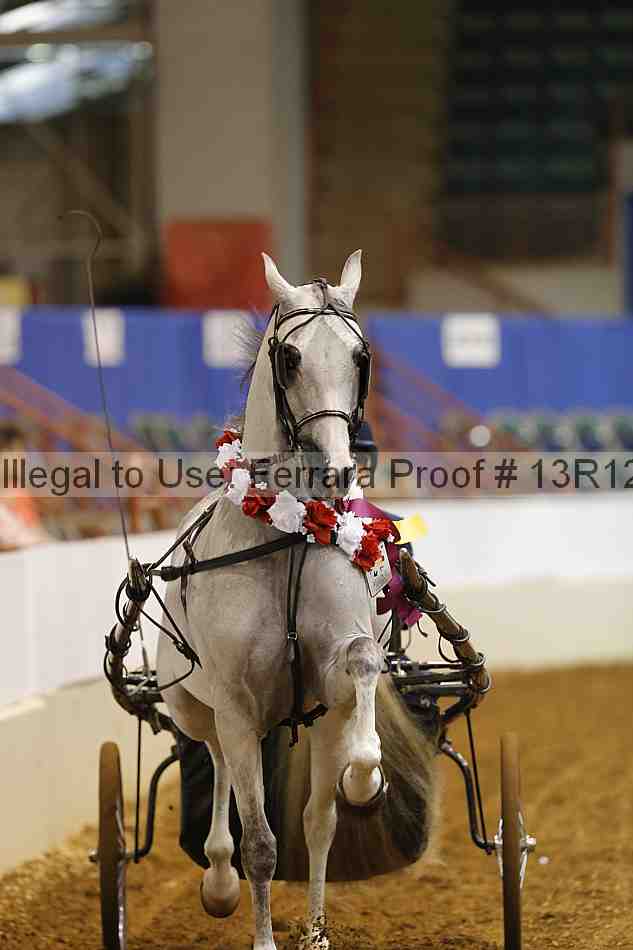 Proof 13r12_3397