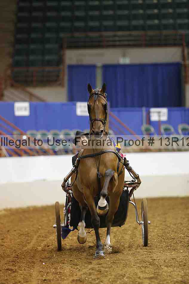 Proof 13r12_3398