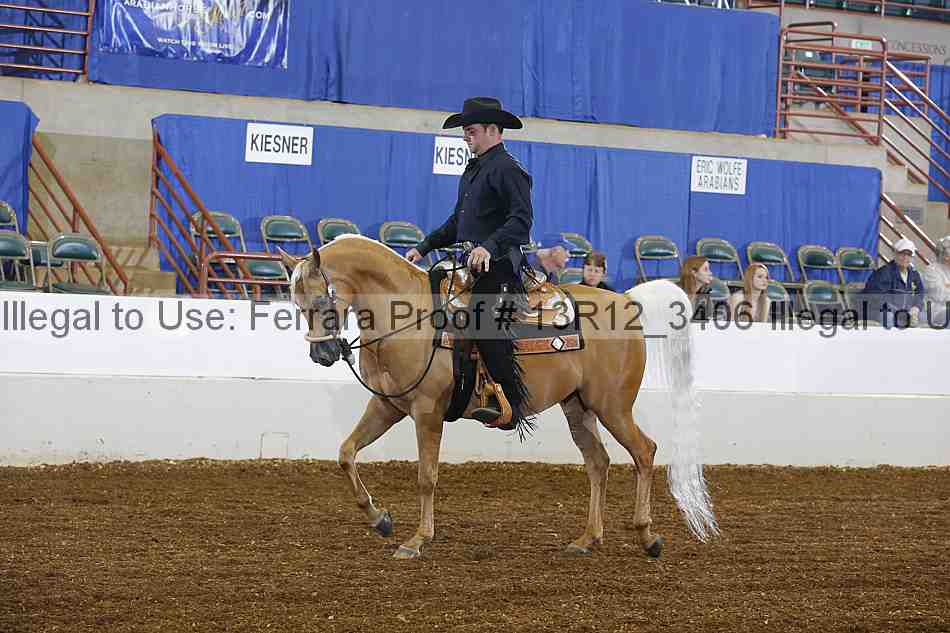 Proof 13r12_3406