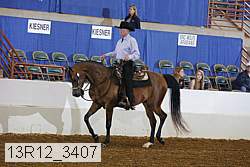 13r12_3407 proof