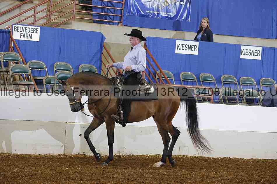 Proof 13r12_3408