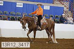 13r12_3417 proof