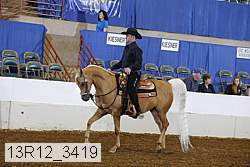 13r12_3419 proof