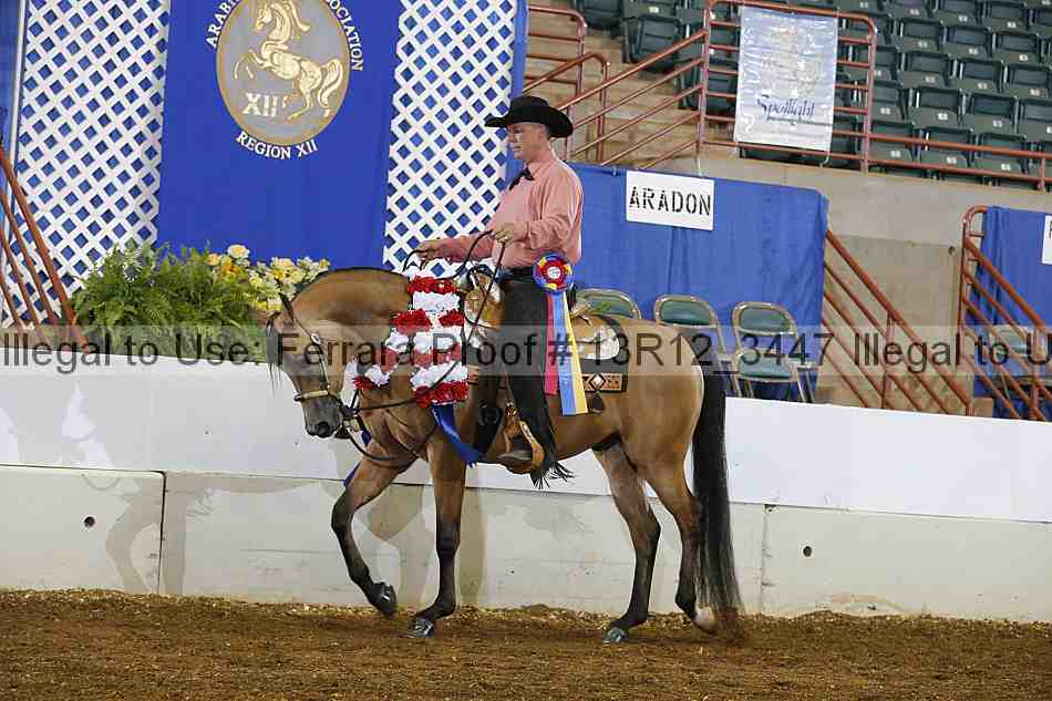 Proof 13r12_3447