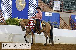 13r12_3447 proof