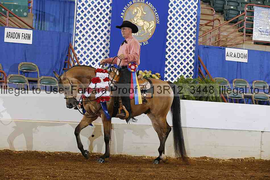Proof 13r12_3448
