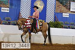 13r12_3448 proof