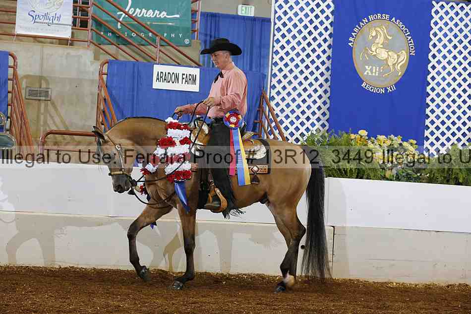Proof 13r12_3449