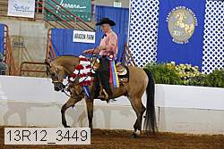 13r12_3449 proof