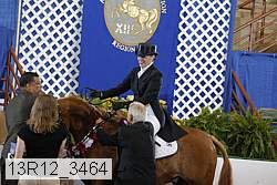 13r12_3464 proof
