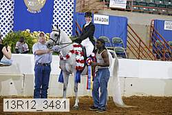 13r12_3481 proof