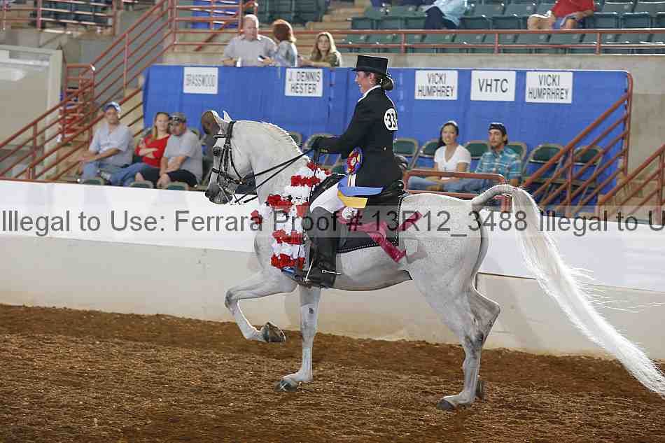 Proof 13r12_3488