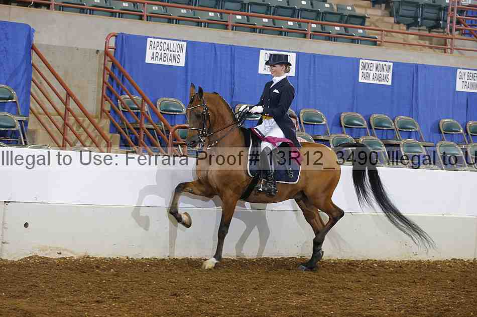 Proof 13r12_3490