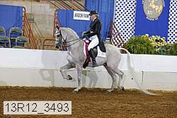 13r12_3493 proof