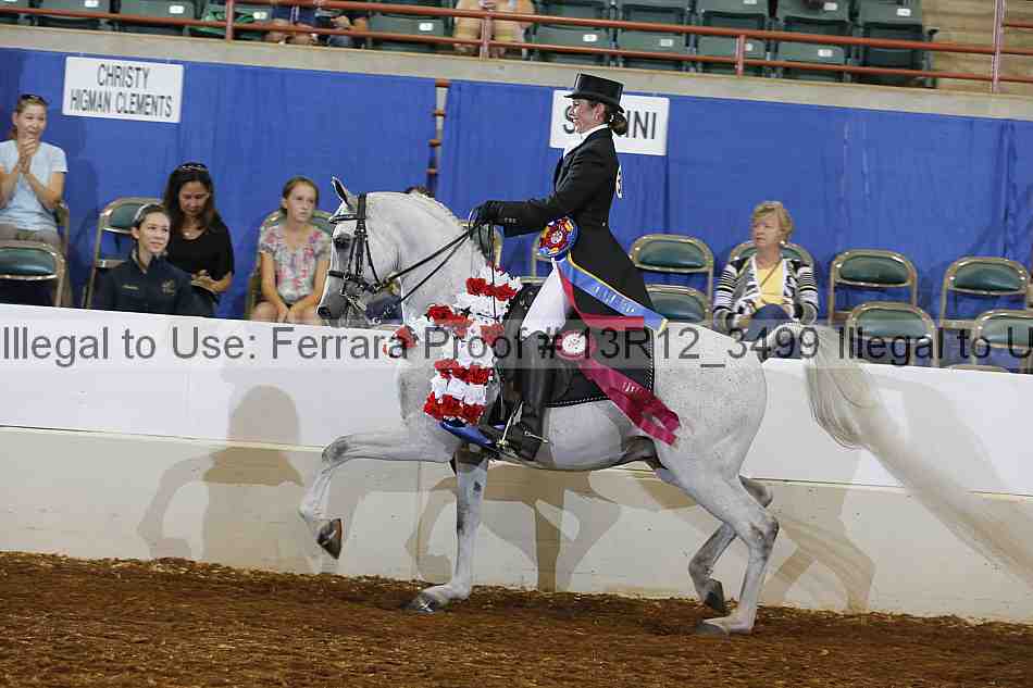 Proof 13r12_3499