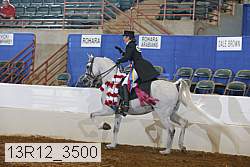13r12_3500 proof