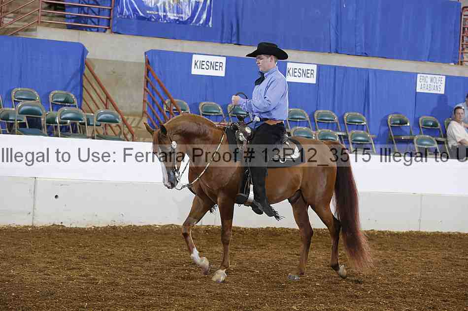 Proof 13r12_3515