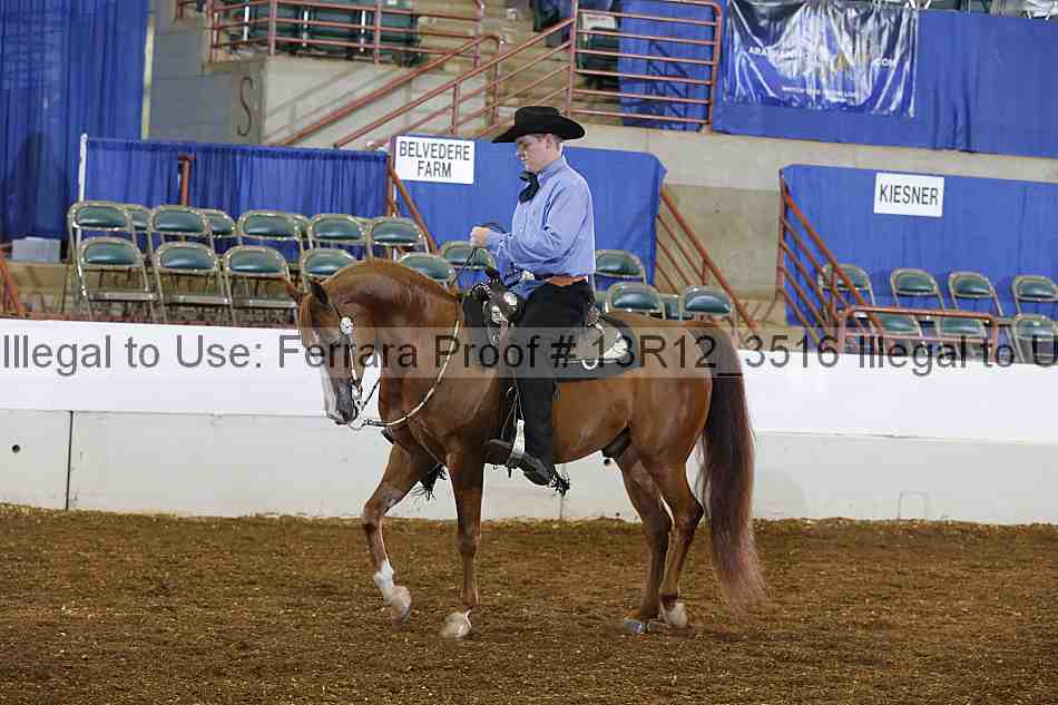 Proof 13r12_3516