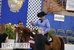 13r12_3517 proof