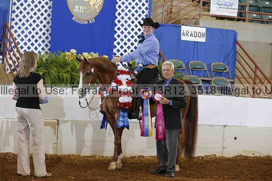 Proof 13r12_3518