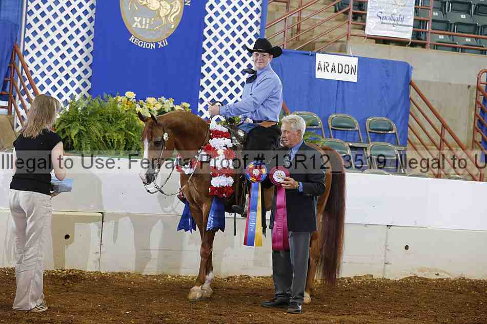 Proof 13r12_3519