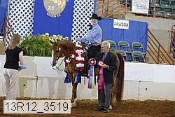13r12_3519 proof