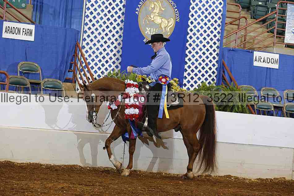 Proof 13r12_3522