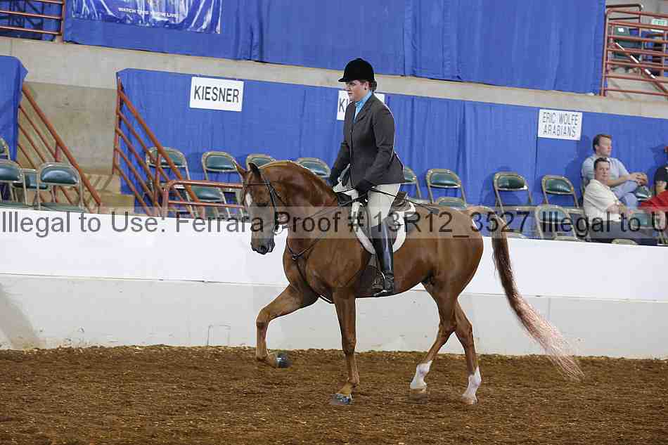 Proof 13r12_3527